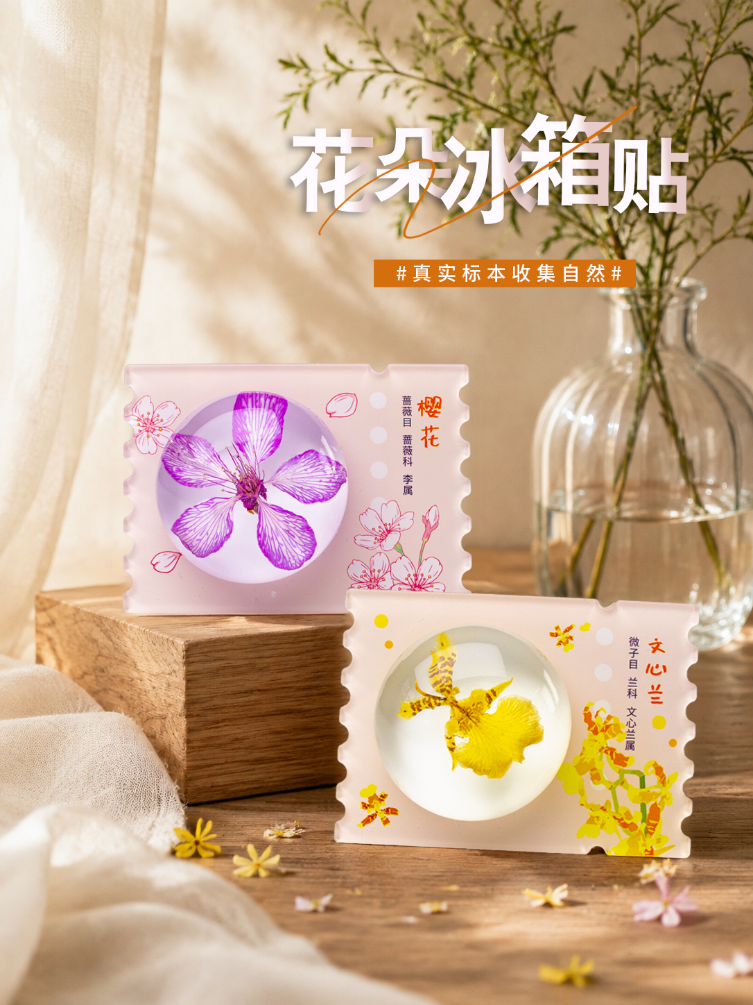 标本冰箱贴