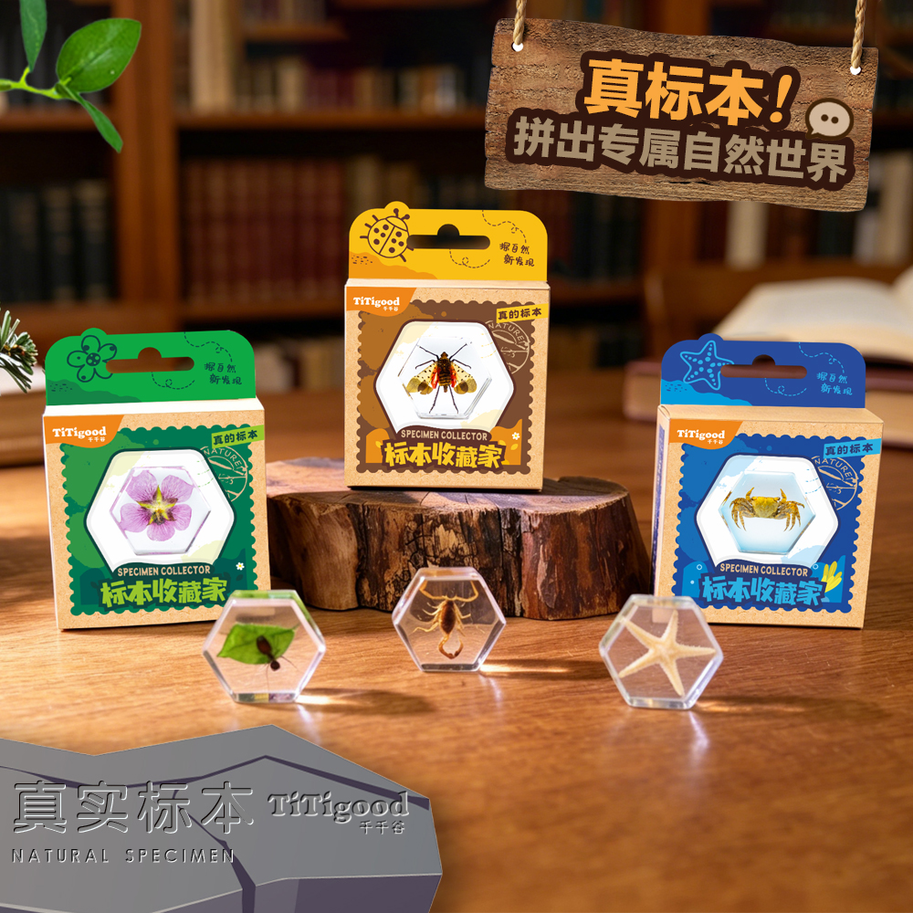 标本收藏家