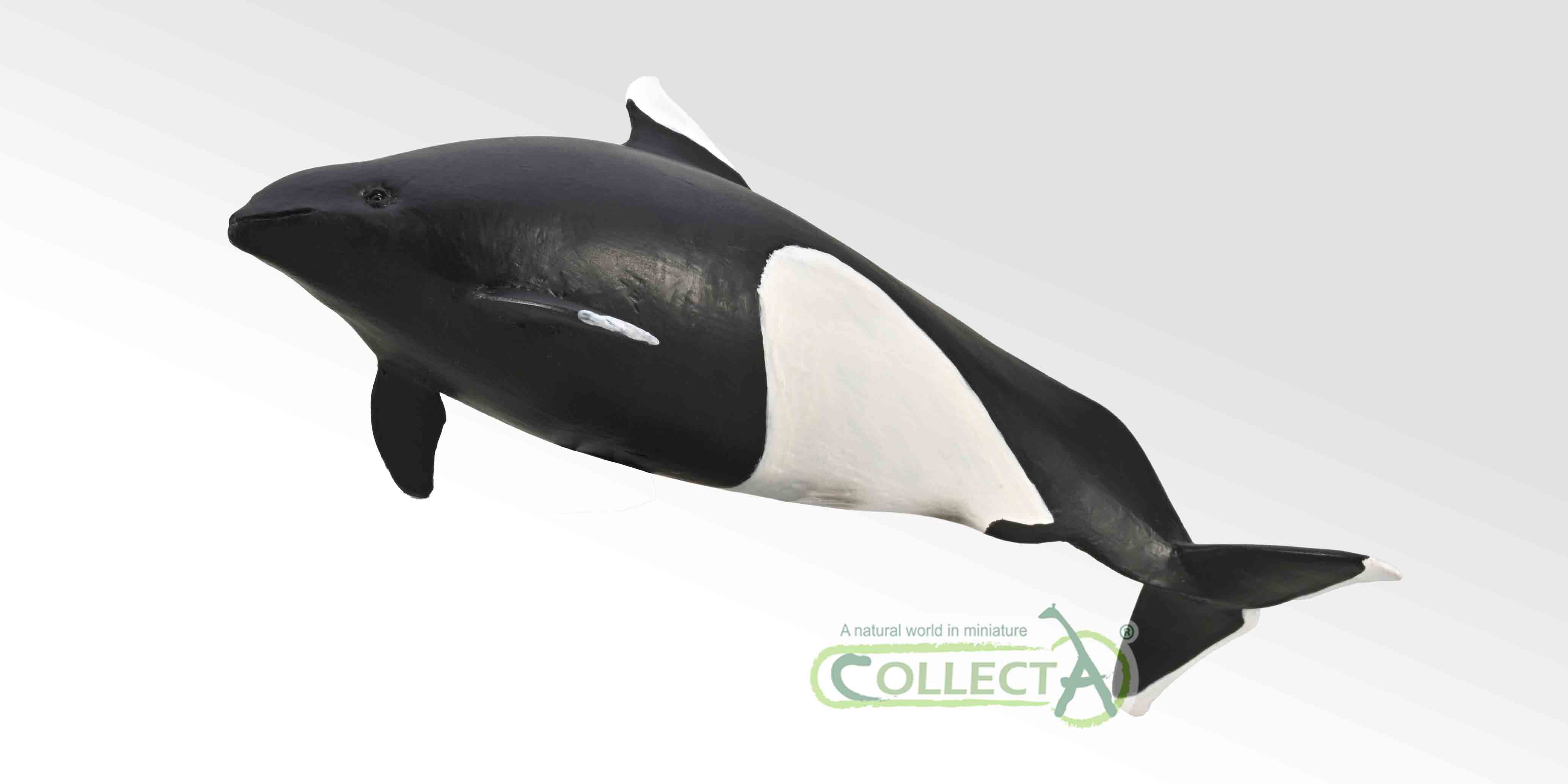 80068 COLLECTA Dall's Porpoise