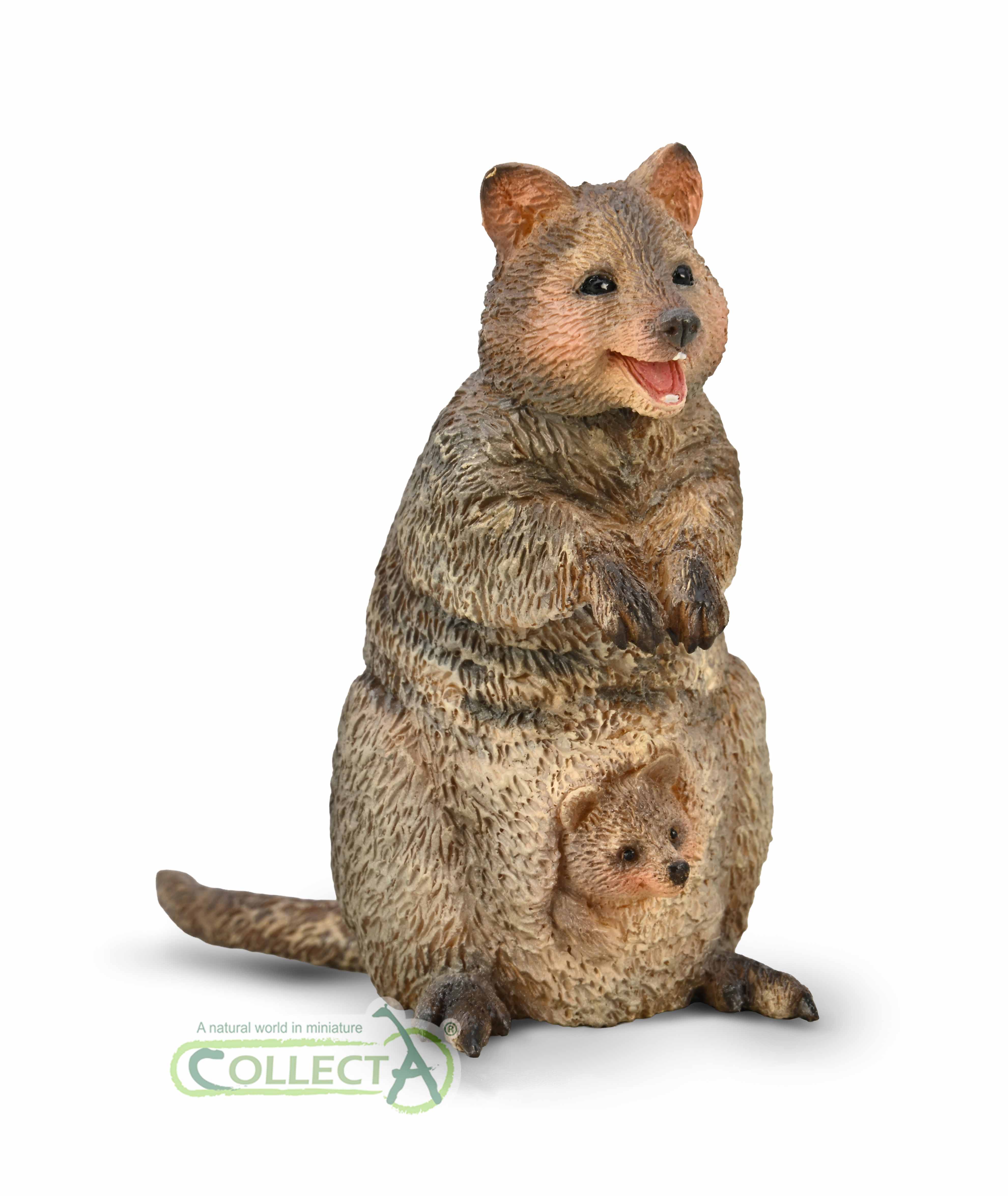 80063 COLLECTA Quokka with Joey