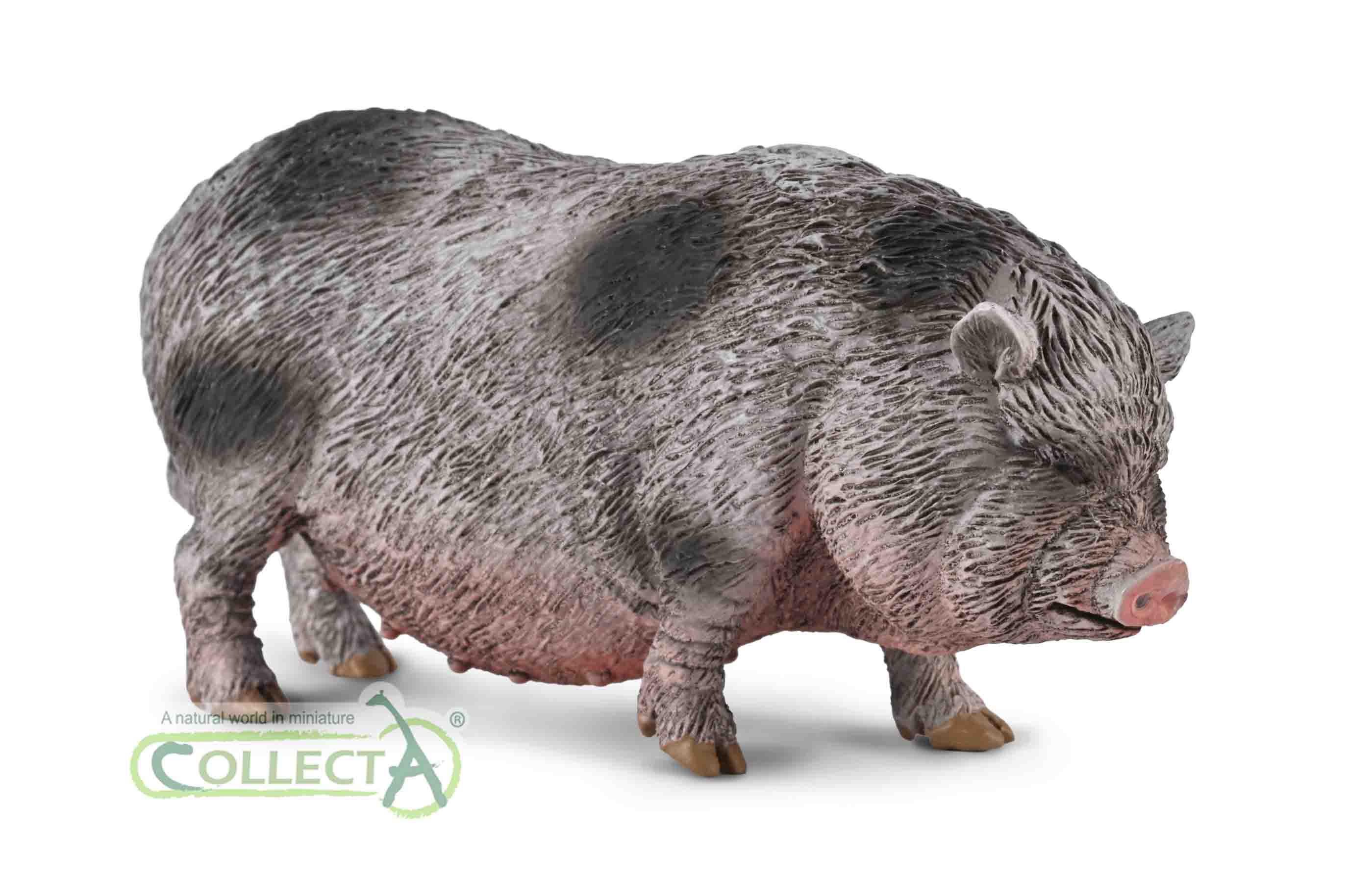 80067 COLLECTA Pot-bellied Pig