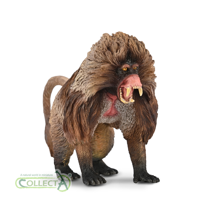 80066 COLLECTA Gelada