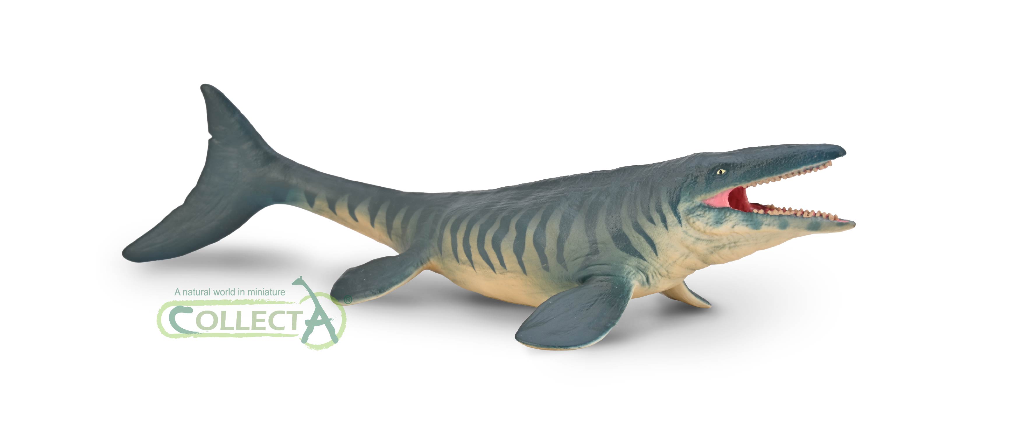 80048- COLLECTA Tylosaurus