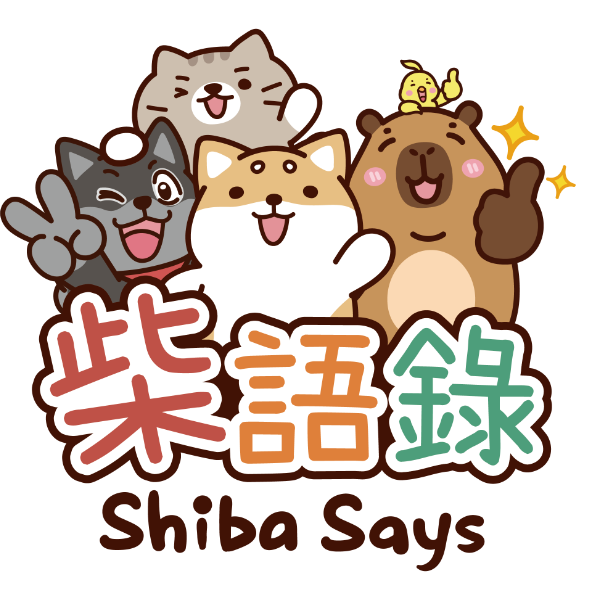 柴语录