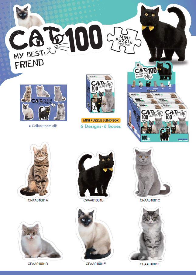 100pcs Puzzle Blind Box