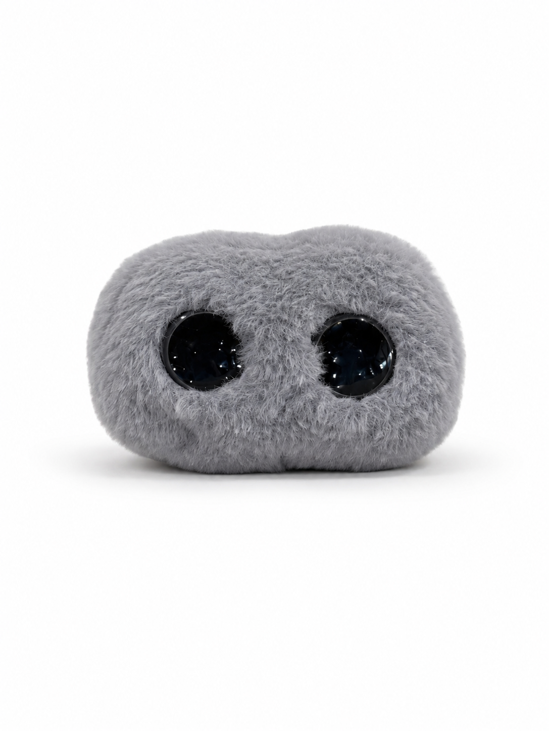 Earth Fragment · Adopt a Stone-Taitai