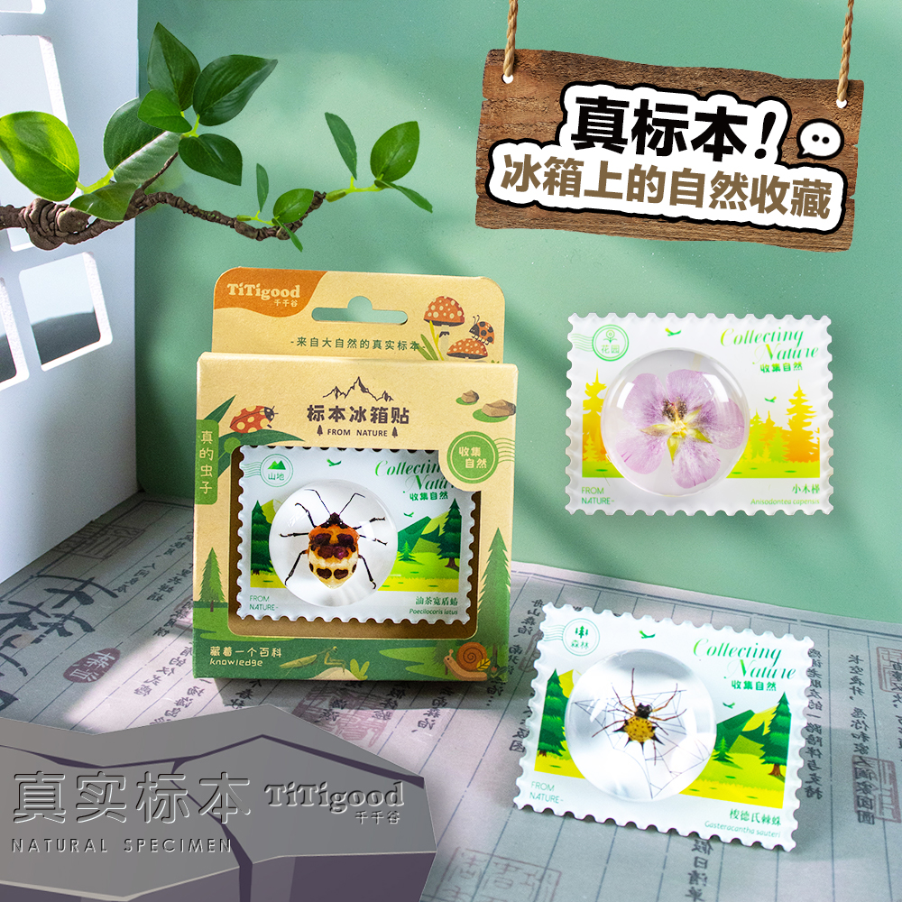 标本冰箱贴