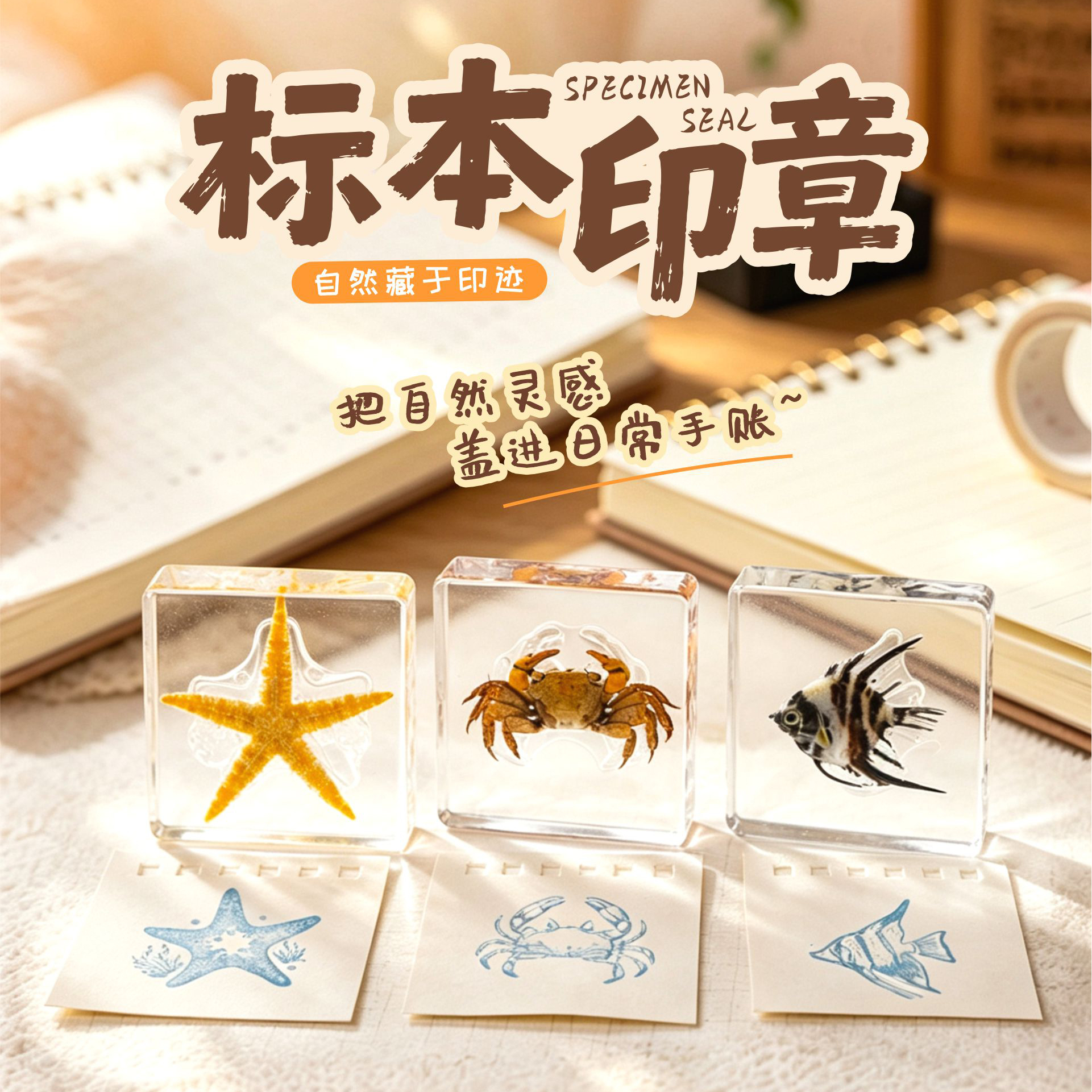自然印迹·标本印章