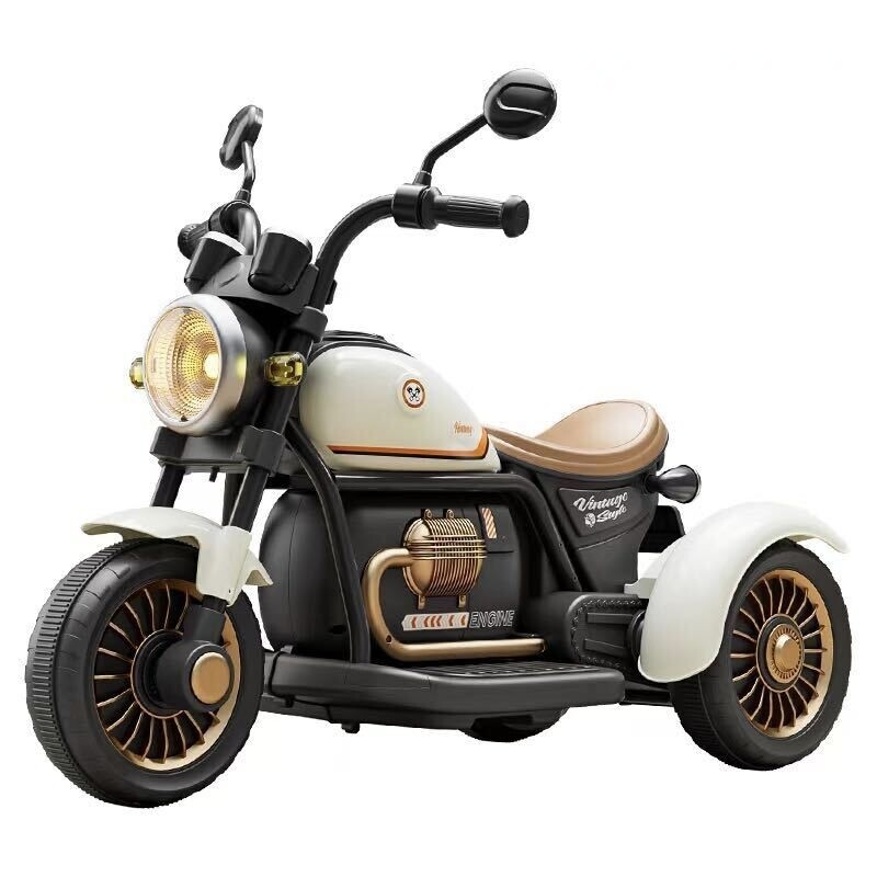 Electric motorcycle