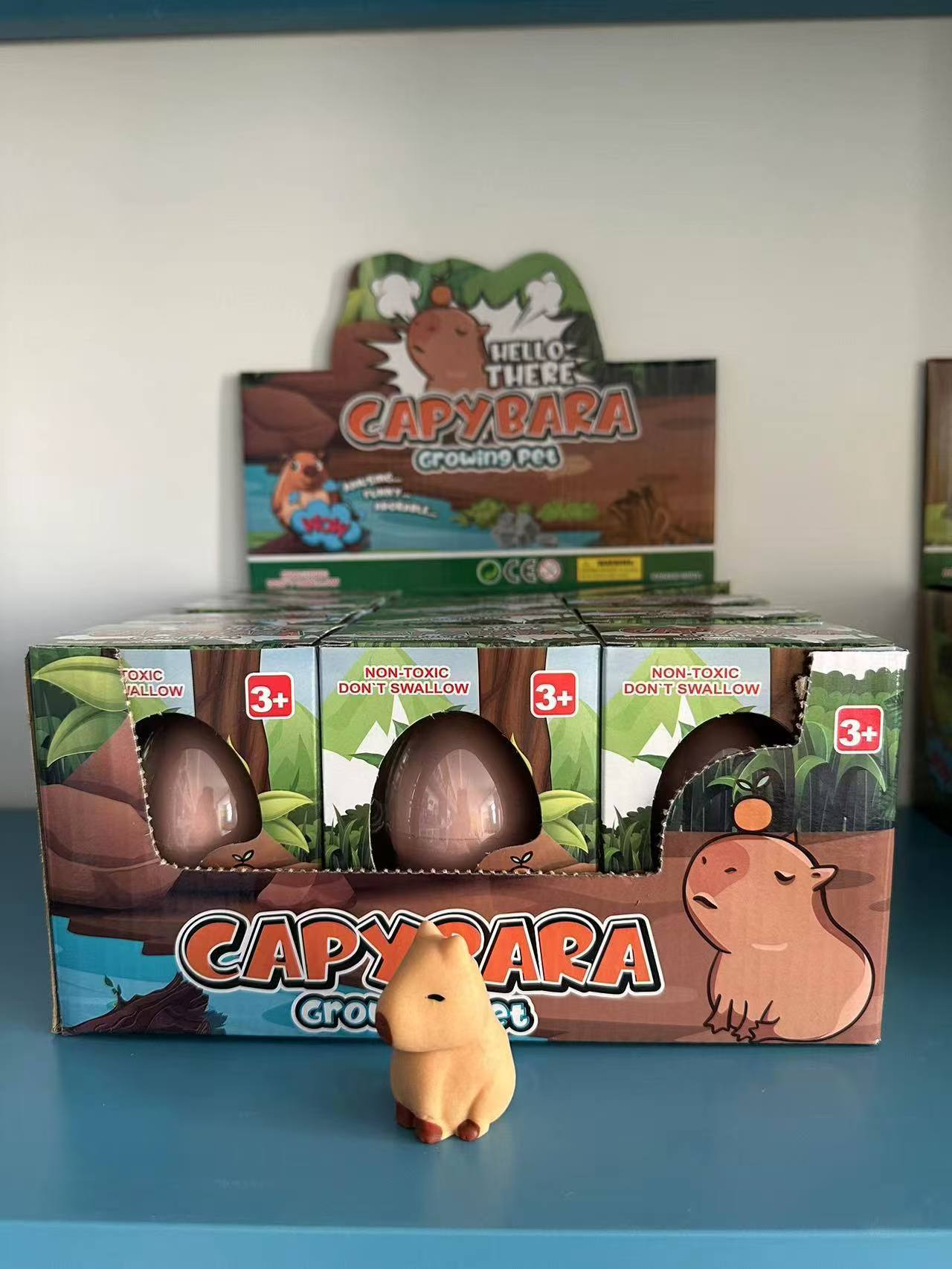 Capybara egg
