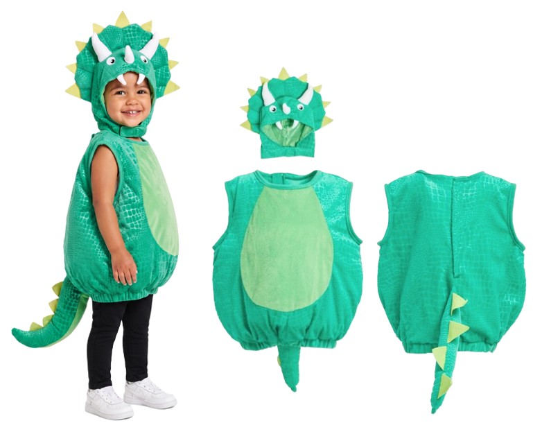 Little Dino Costume