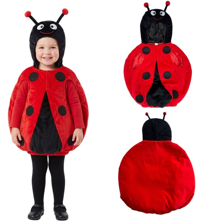Little Ladybug Costume