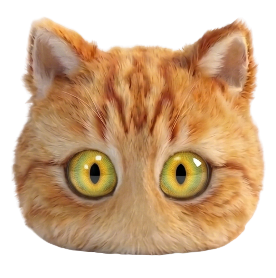 MOOD CAT™
