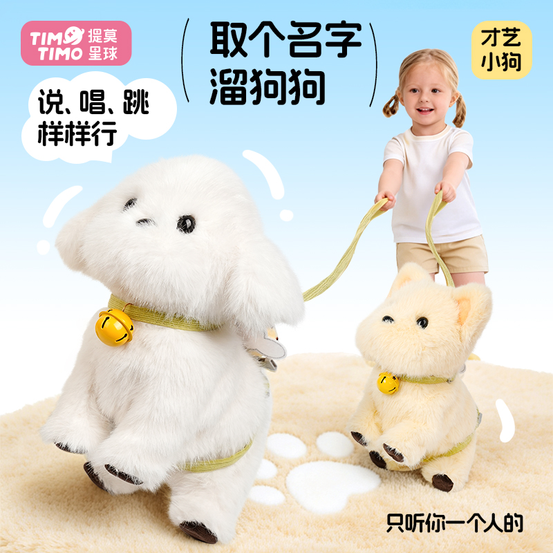 才艺汪