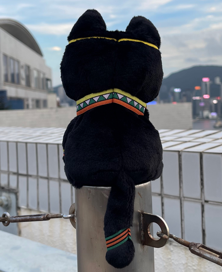 貓姨
