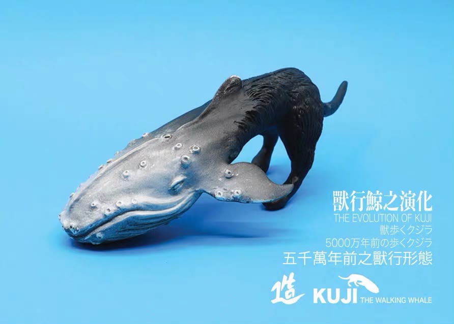 獸行鯨