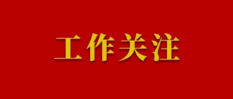 行业协会商会等社会组织领域负责人任职管理、名誉职务设立不规范典型案例